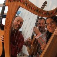 Zik trio 1
